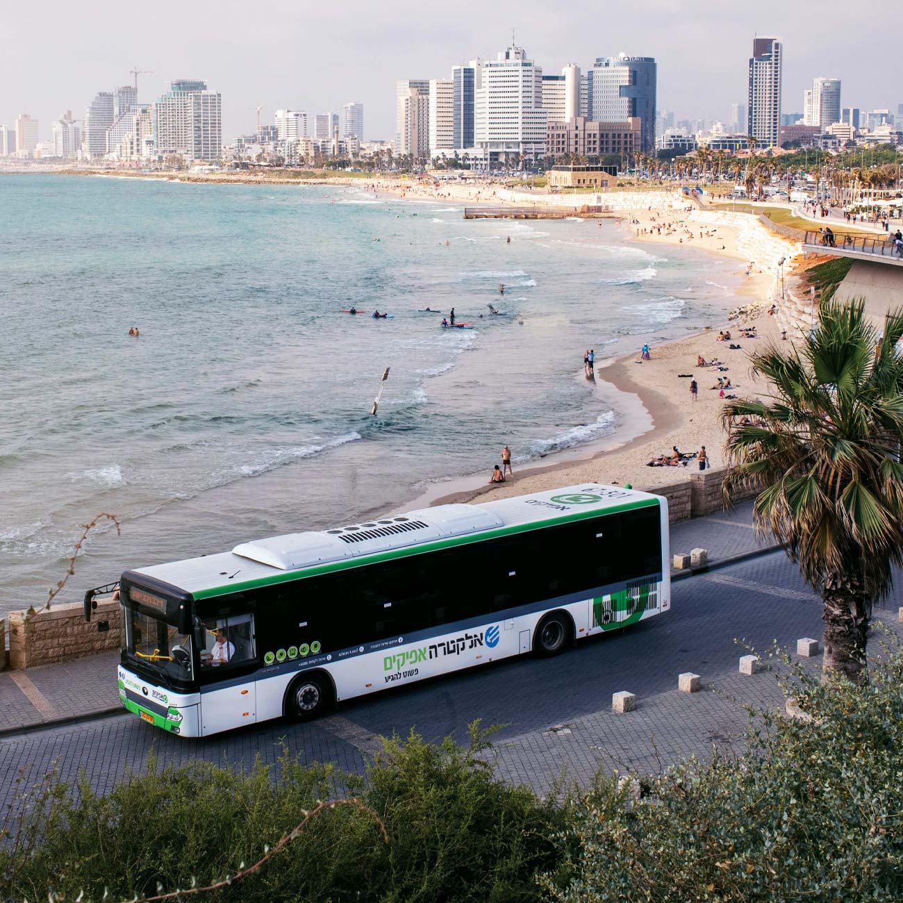 אוטובוס תחבורה ציבורית