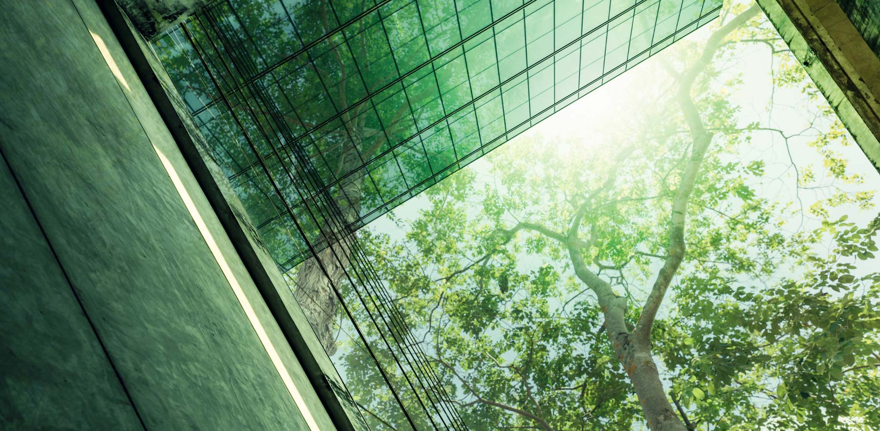 Abstract image of a building with glass windows reflecting green foliage