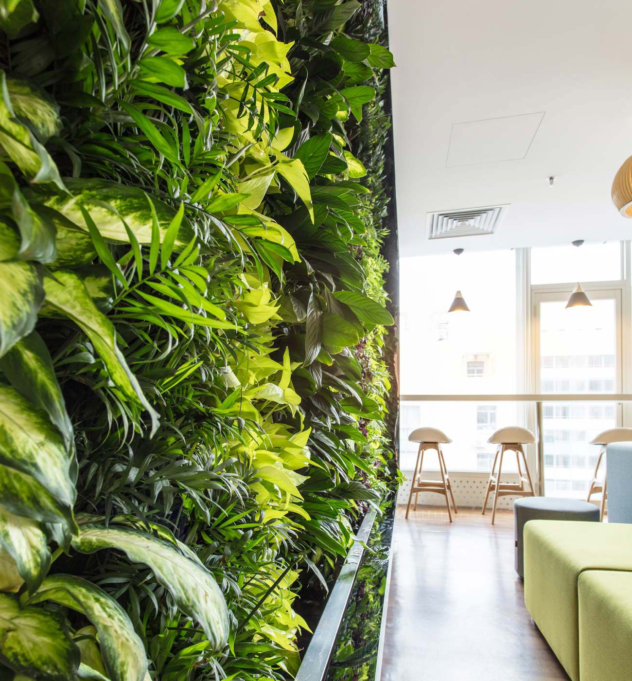 A modern office lobby with a wall of growing grasses